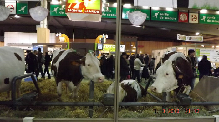 DSCF0494 - salon international de agricultura paris 2013