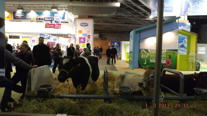 DSCF0495 - salon international de agricultura paris 2013