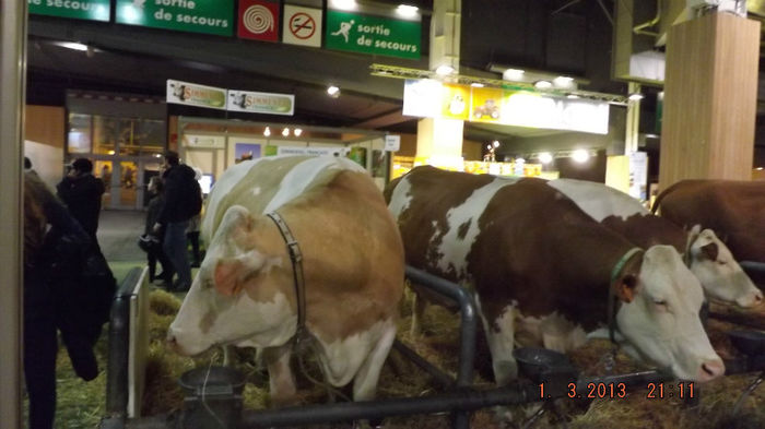 DSCF0497 - salon international de agricultura paris 2013