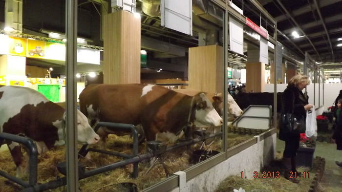 DSCF0498 - salon international de agricultura paris 2013