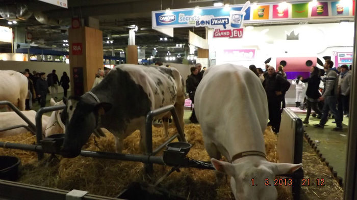 DSCF0503 - salon international de agricultura paris 2013