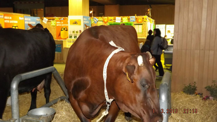 DSCF0505 - salon international de agricultura paris 2013