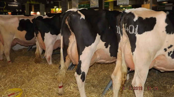 DSCF0513 - salon international de agricultura paris 2013