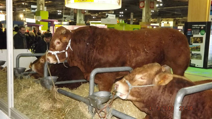DSCF0515 - salon international de agricultura paris 2013