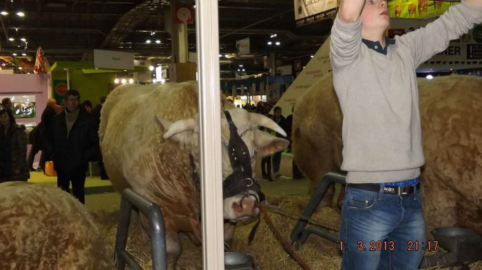 DSCF0523 - salon international de agricultura paris 2013