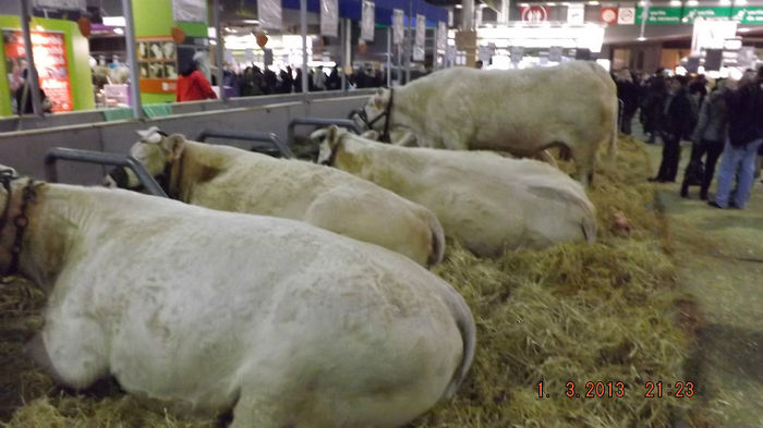 DSCF0546 - salon international de agricultura paris 2013