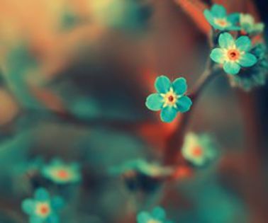 tumblr_miziixc5Y71s5zpmxo1_500_thumb