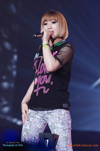 25 - 2ne1 4