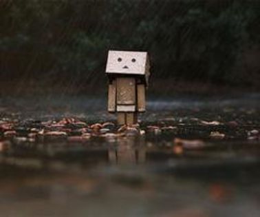 425801_262212350524342_836674306_n_thumb - Special_art_db