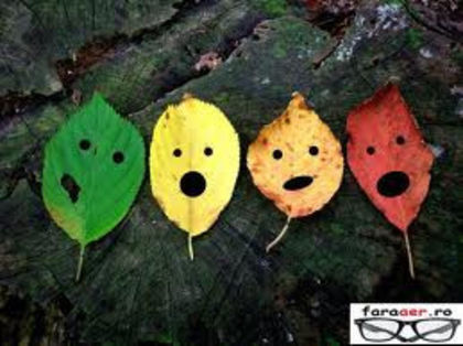 images - xo_Parerea voastra conteaza_xo