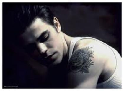 images (12) - Stefan Salvatore