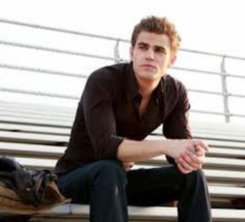 images - Stefan Salvatore