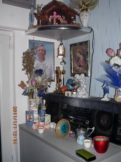 IMG_0045 - CACTUSI SEMINTE 1