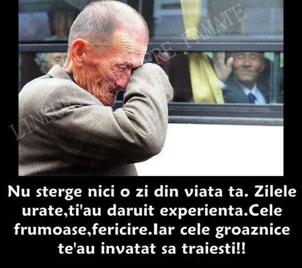  - Poze