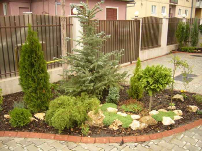 P1030015