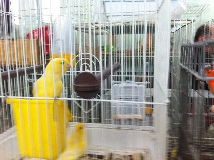 IMG_0982 - Expo Iasi 2013