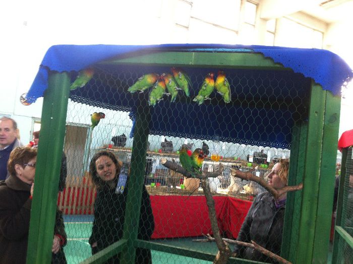 IMG_1135 - Expo Iasi 2013