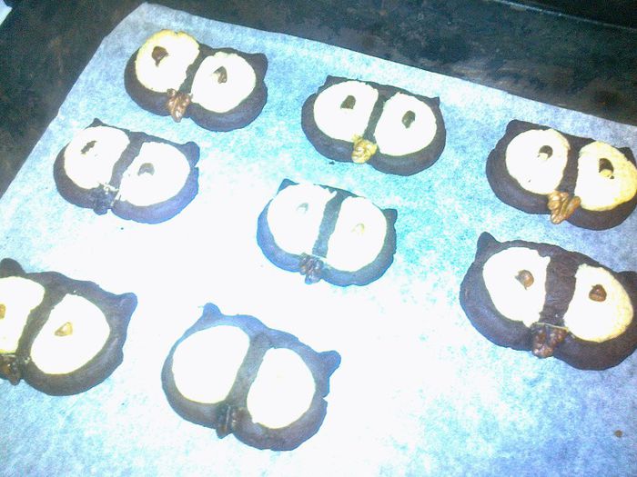 Biscuiti bufnite