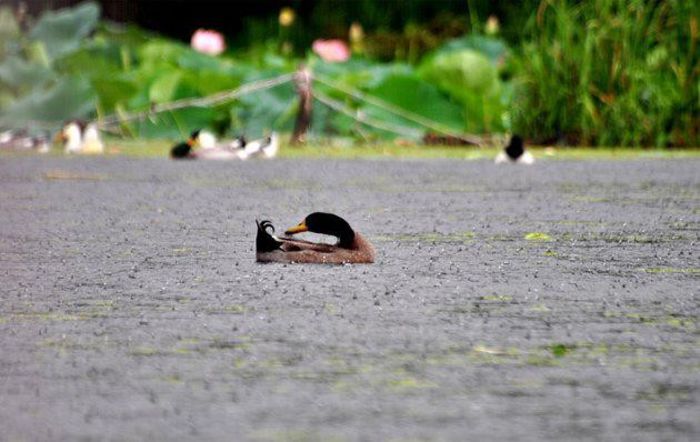 424055_265427540198583_1307163662_n