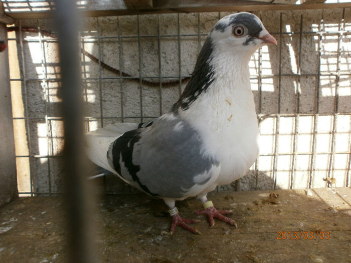 P3030422