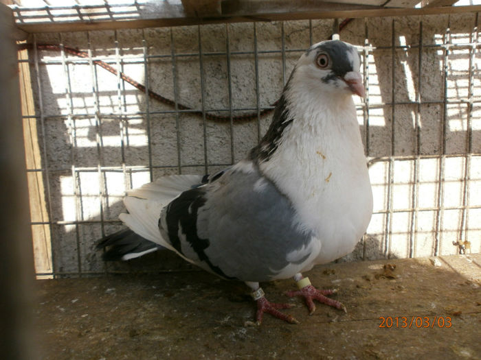 P3030423