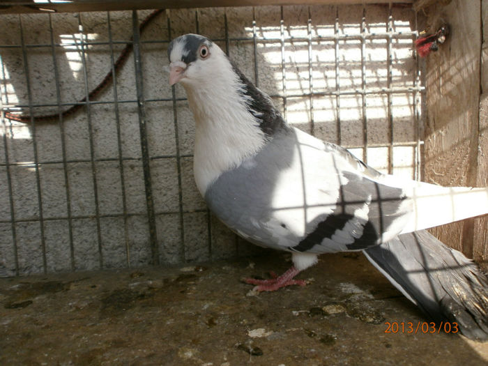 P3030426