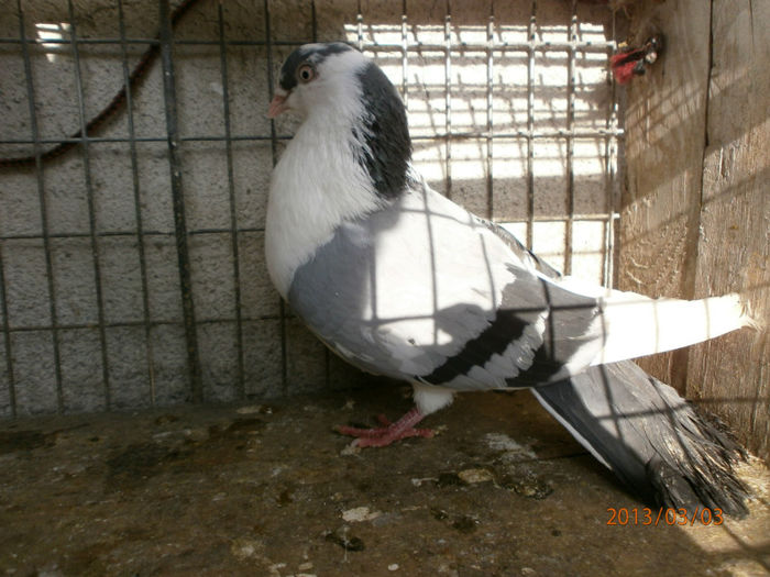 P3030427