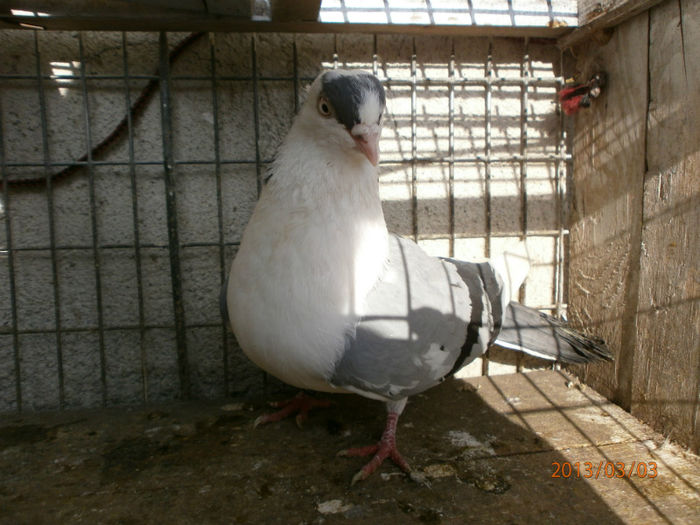 P3030428