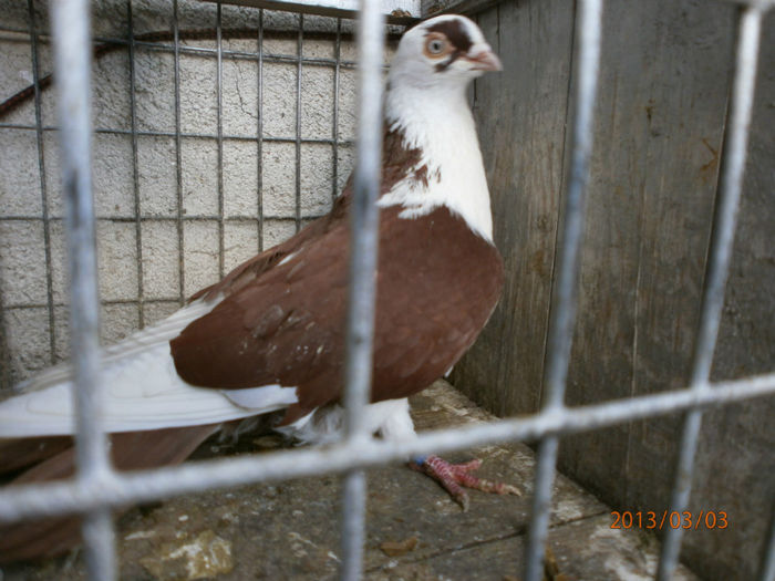 P3030432