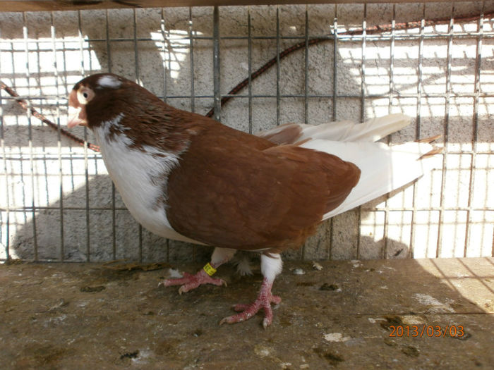 P3030438