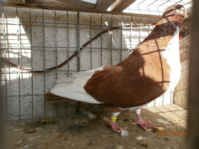 P3030440