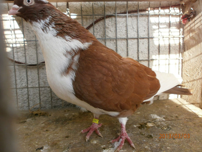 P3030444