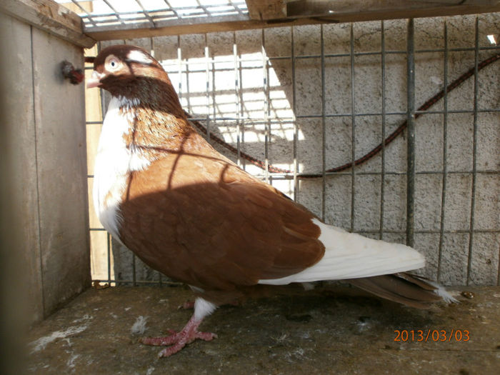 P3030449