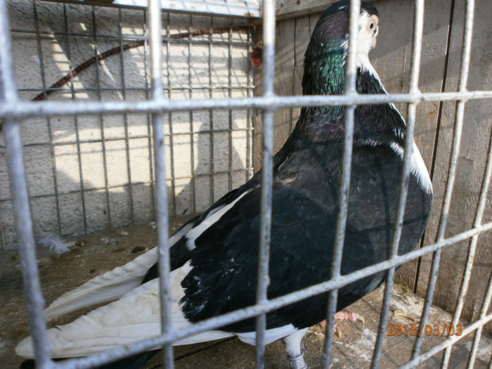 P3030455