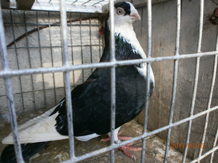 P3030456
