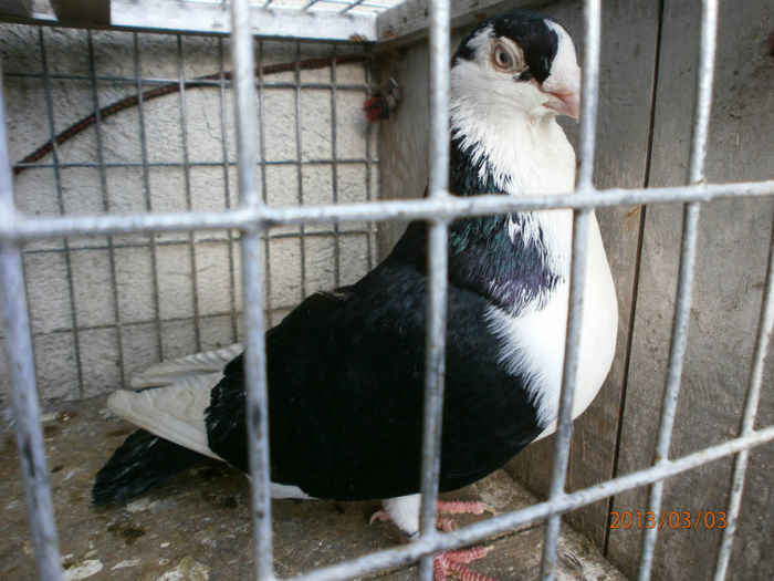 P3030460