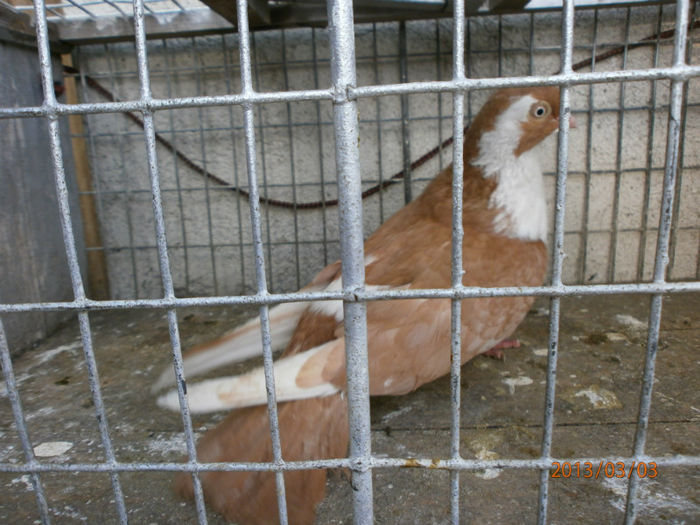 P3030491