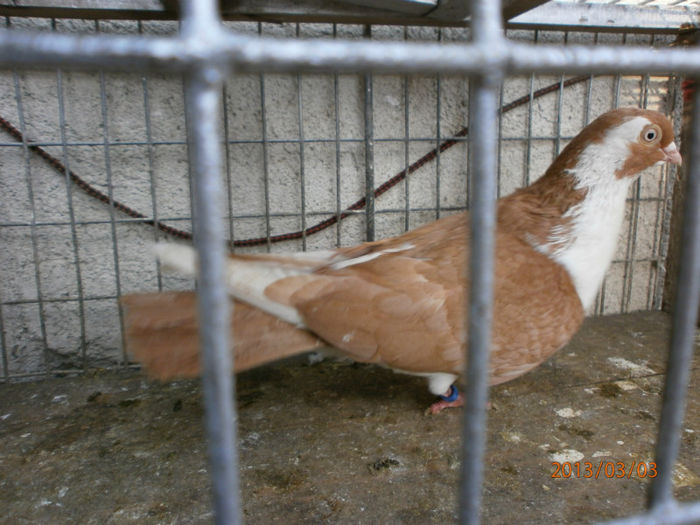 P3030500