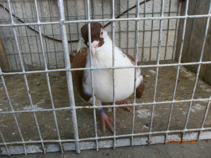 P3030528