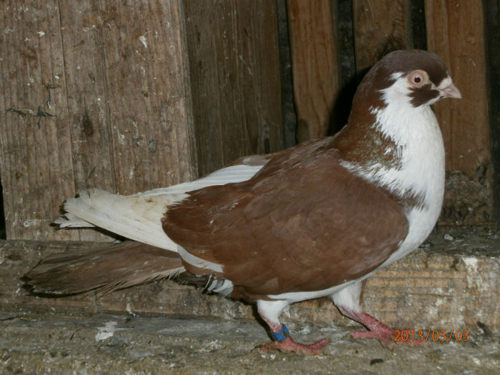P3030539