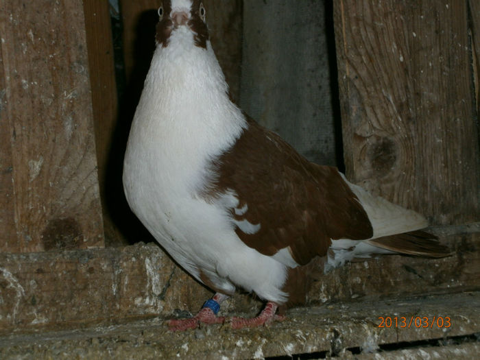 P3030540