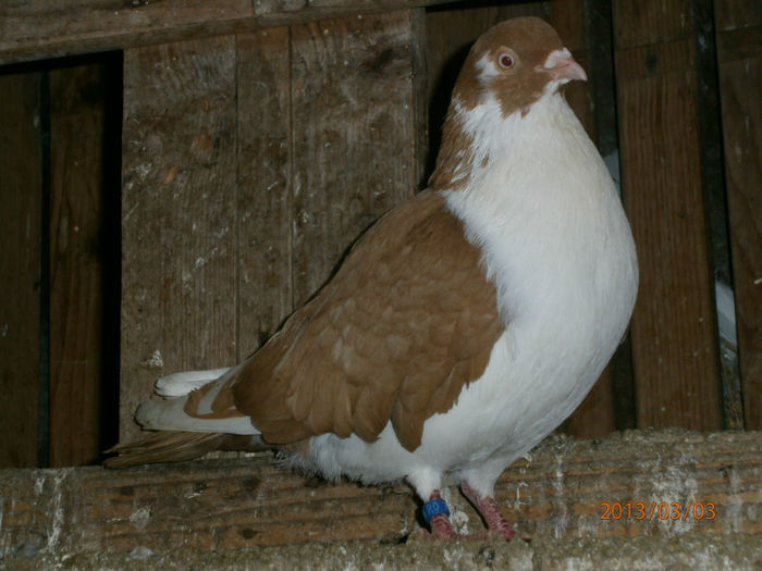P3030546