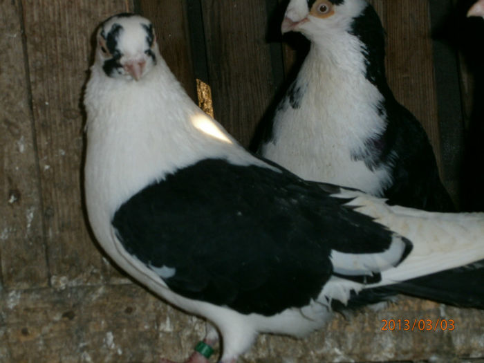 P3030551