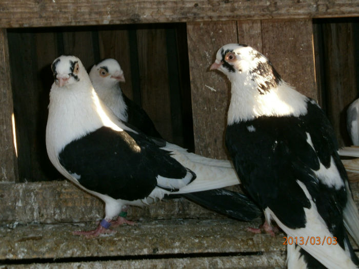 P3030552