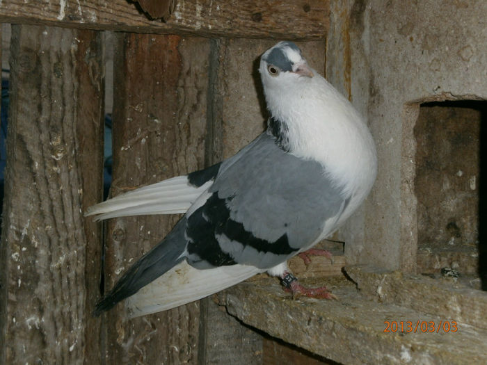 P3030568