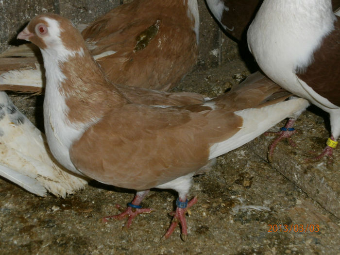 P3030570