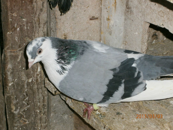 P3030581