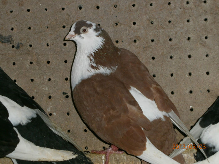 P3030585