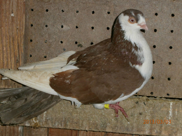 P3030595