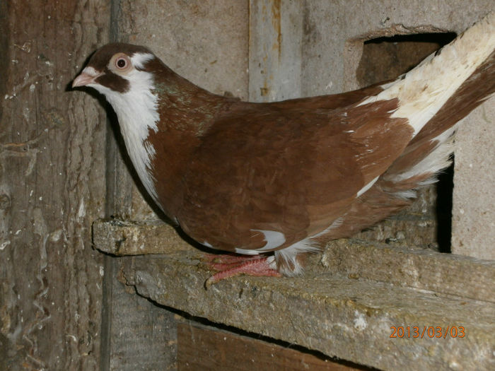 P3030605